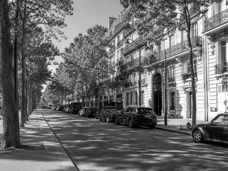 Avenue du 7e arrondissement de Paris bordee d immeubles haussmanniens a hauts balcons